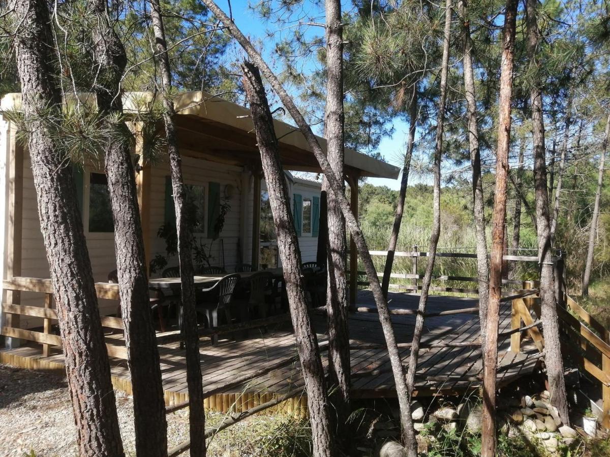 Residence Santa Ghisonaccia Exterior photo